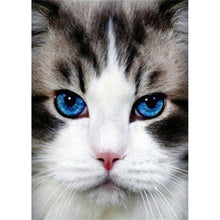 Lade das Bild in den Galerie-Viewer, Katze - volle Diamant-Malerei - 30x40cm
