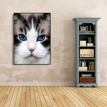 Lade das Bild in den Galerie-Viewer, Katze - volle Diamant-Malerei - 30x40cm
