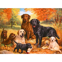 Lade das Bild in den Galerie-Viewer, DogSets - voll diamantbemalen - 40x30cm
