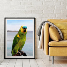 Lade das Bild in den Galerie-Viewer, Süße Vogel - voller Diamant-Malerei - 30x40cm

