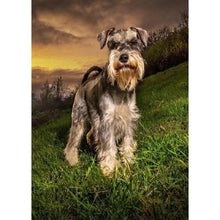 Lade das Bild in den Galerie-Viewer, Grauer Hund - volle Diamant-Malerei - 30x40cm

