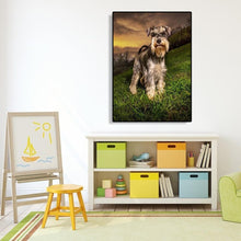 Lade das Bild in den Galerie-Viewer, Grauer Hund - volle Diamant-Malerei - 30x40cm
