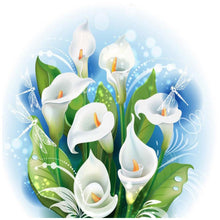 Lade das Bild in den Galerie-Viewer, Calla Blumenwand - volle Diamant-Malerei - 30x30cm

