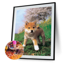 Lade das Bild in den Galerie-Viewer, Neugieriger Hund - volle Diamant-Malerei - 40x30cm
