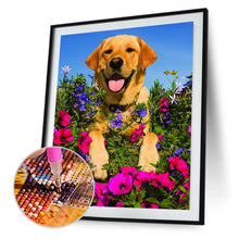 Lade das Bild in den Galerie-Viewer, Hund Blume - volle Diamant-Malerei - 30x40cm

