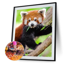 Lade das Bild in den Galerie-Viewer, Klettern Koala - volle Runde Diamant-Malerei - 30x40cm
