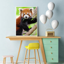Lade das Bild in den Galerie-Viewer, Klettern Koala - volle Runde Diamant-Malerei - 30x40cm
