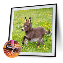 Lade das Bild in den Galerie-Viewer, Esel - voller runder Diamant - 30x30cm
