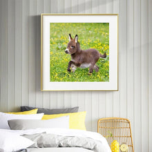 Lade das Bild in den Galerie-Viewer, Esel - voller runder Diamant - 30x30cm
