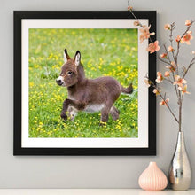 Lade das Bild in den Galerie-Viewer, Esel - voller runder Diamant - 30x30cm
