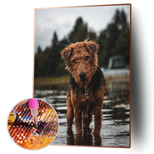 Lade das Bild in den Galerie-Viewer, Hund - voller runder Diamant - 30x40cm
