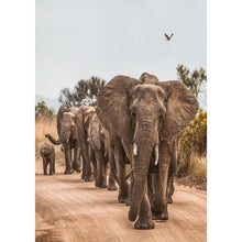 Lade das Bild in den Galerie-Viewer, Elefant auf der Straße - voller runder Diamant - 30x40cm
