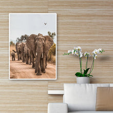 Lade das Bild in den Galerie-Viewer, Elefant auf der Straße - voller runder Diamant - 30x40cm
