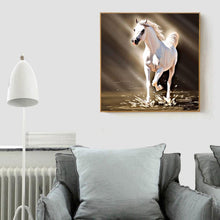 Lade das Bild in den Galerie-Viewer, Pferd - voller runder Diamant - 30x30cm
