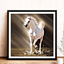 Lade das Bild in den Galerie-Viewer, Pferd - voller runder Diamant - 30x30cm
