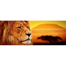 Lade das Bild in den Galerie-Viewer, Tiger - voller runder Diamant - 80x30cm
