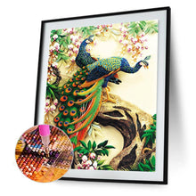 Lade das Bild in den Galerie-Viewer, Pfau - voller quadratischer Diamant - 40x50cm
