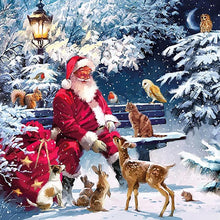 Lade das Bild in den Galerie-Viewer, Weihnachten -Rund/Quadrat Diamond Painting

