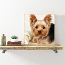 Lade das Bild in den Galerie-Viewer, Hund Tier - voller runder Diamant - 30x30cm
