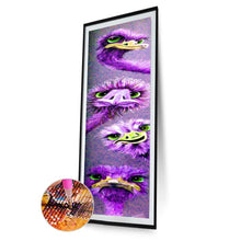 Lade das Bild in den Galerie-Viewer, Strauß - voller Rund/Quadrat Diamond painting - 25x115cm
