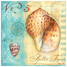 Lade das Bild in den Galerie-Viewer, Conch - voller runder Diamant - 40x40cm
