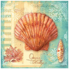 Lade das Bild in den Galerie-Viewer, Conch - voller runder Diamant - 40x40cm
