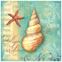 Lade das Bild in den Galerie-Viewer, Conch - voller runder Diamant - 40x40cm
