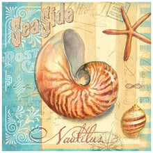 Lade das Bild in den Galerie-Viewer, Conch - voller runder Diamant - 40x40cm

