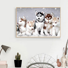 Lade das Bild in den Galerie-Viewer, Welpen Schlafzimmer - voller quadratischer Diamant - 50x40cm
