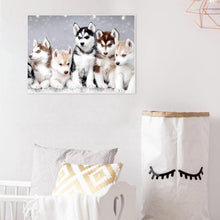 Lade das Bild in den Galerie-Viewer, Welpen Schlafzimmer - voller quadratischer Diamant - 50x40cm
