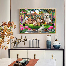 Lade das Bild in den Galerie-Viewer, Katze und Hund Weihnachten - voller quadratischer Diamant - 40x50cm
