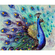 Lade das Bild in den Galerie-Viewer, Pfau - voller quadratischer Diamant - 50x40cm
