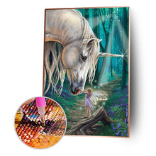 Lade das Bild in den Galerie-Viewer, Pferd und Elfe - voller runder Diamant - 30x40cm
