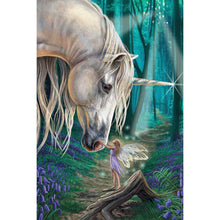 Lade das Bild in den Galerie-Viewer, Pferd und Elfe - voller runder Diamant - 30x40cm
