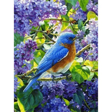 Lade das Bild in den Galerie-Viewer, Bird-Voller Round Diamond Painting-30x40cm
