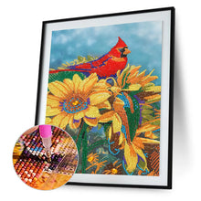 Lade das Bild in den Galerie-Viewer, Cardinal-Special Shaped Crystal Diamond Painting-30*40cm
