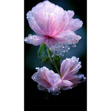 Lade das Bild in den Galerie-Viewer, Wassertropfen-Blumen-Vollbohrer-Diamantmalerei-40x70cm
