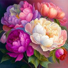 Lade das Bild in den Galerie-Viewer, Pfingstrose-Voller Diamond Painting 30*30cm
