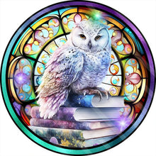 Lade das Bild in den Galerie-Viewer, Buntglas Owl-Voller Round Diamond Painting-30x30cm
