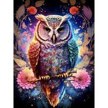 Lade das Bild in den Galerie-Viewer, Traumeule-Voller  Diamond Painting-30x40cm
